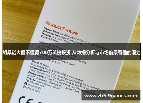 胡桑诺夫值不值得700万英镑投资 从数据分析与市场前景看他的潜力