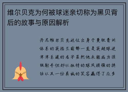 维尔贝克为何被球迷亲切称为黑贝背后的故事与原因解析